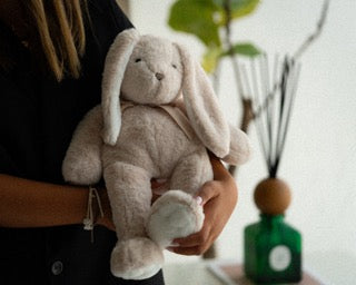 Plush Bunny Toy