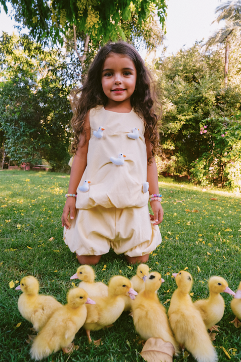 Baby Duckie Set