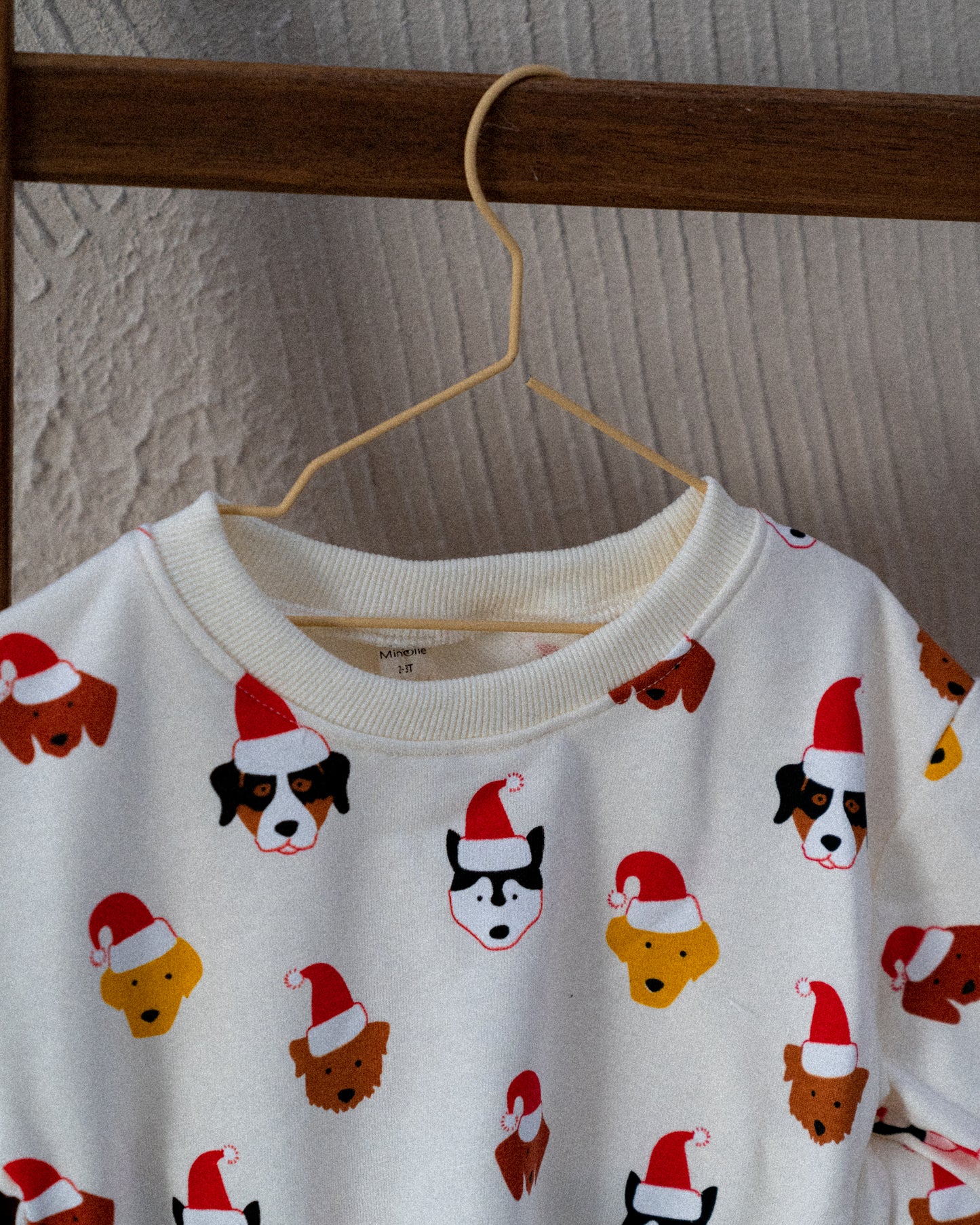 Baby Animal Christmas Set