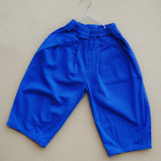 Bright Royal Blue Loose Ankle Pants